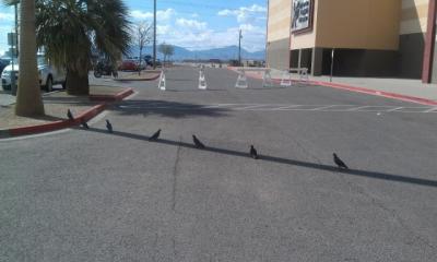 Прикрепленное изображение: post-3-13460602082962.jpg